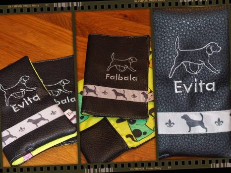 10896884_1012548582108294_5565490509914960229_n